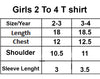 Girls Toddler T-shirt Set