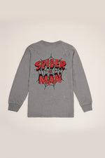 Boys Spider Man ( Grey Night ) / Black Red Stripe trouser )
