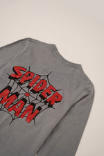 Boys Spider Man ( Grey Night ) / Black Red Stripe trouser )